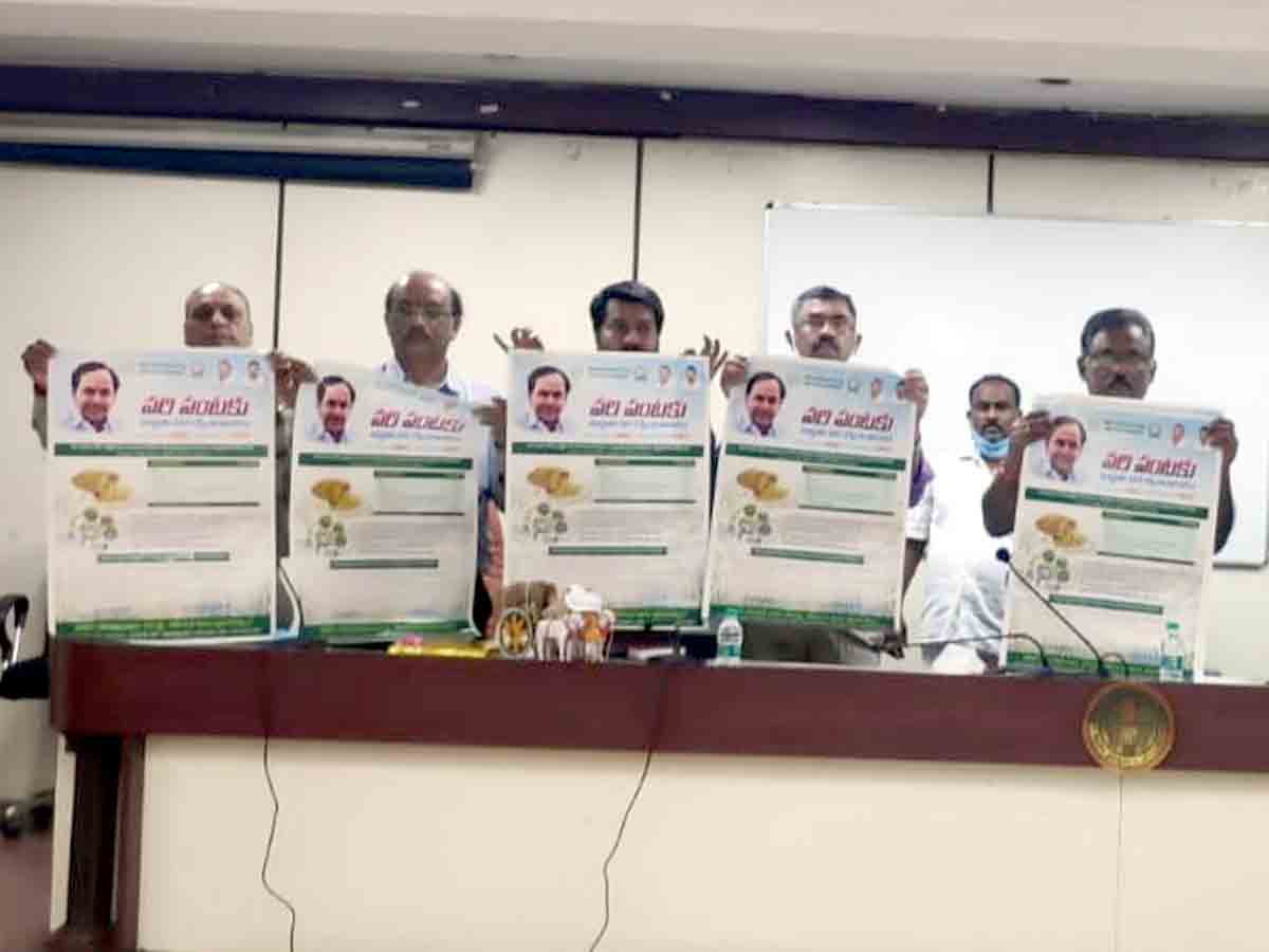 Rangareddy : ధాన్యం కొనుగోళ్లలో తెలంగాణ రాష్ట్రం దేశానికే తలమాణికంగా నిలిచింది