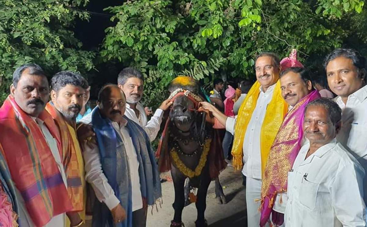 Sadar festival | చందానగర్‌లో వైభ‌వంగా స‌ద‌ర్ వేడుక‌లు