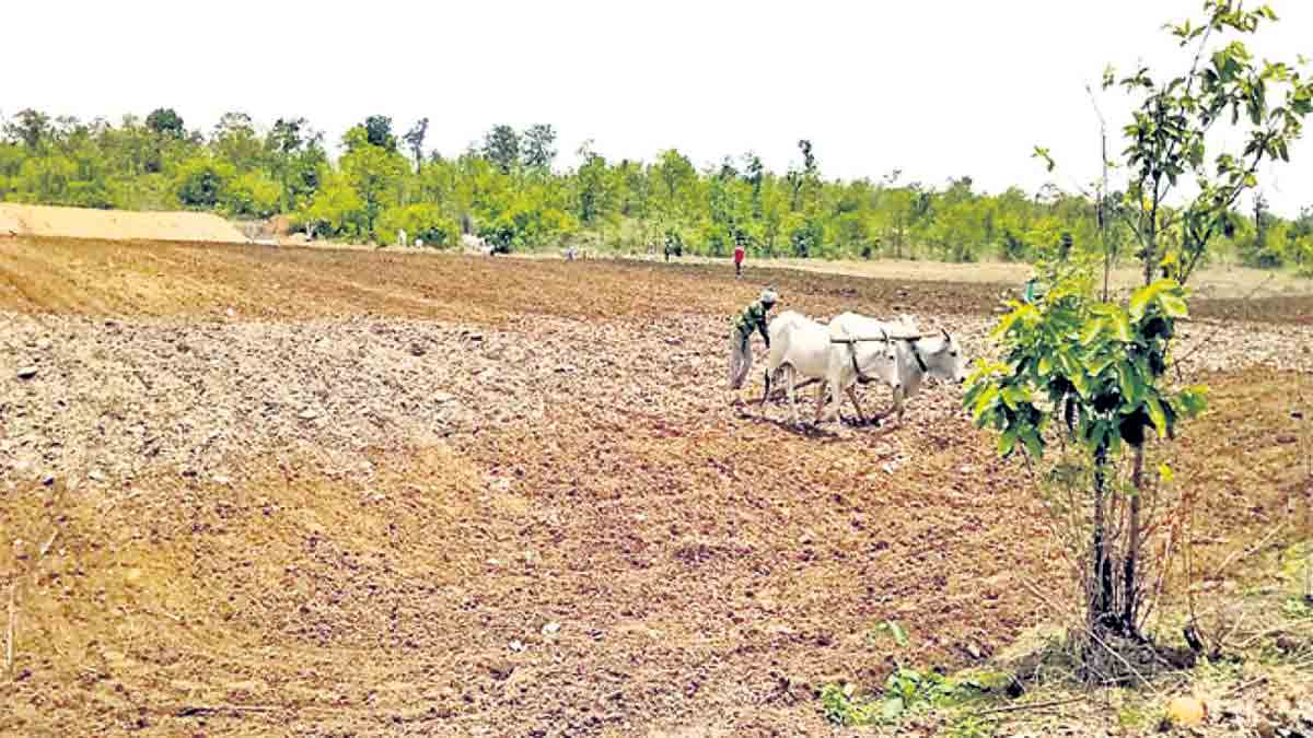 పోడు గోడు తీరేలా..