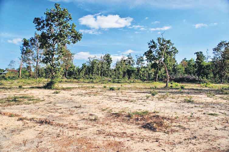 పోడు ప్రక్రియ పకడ్బందీగా..