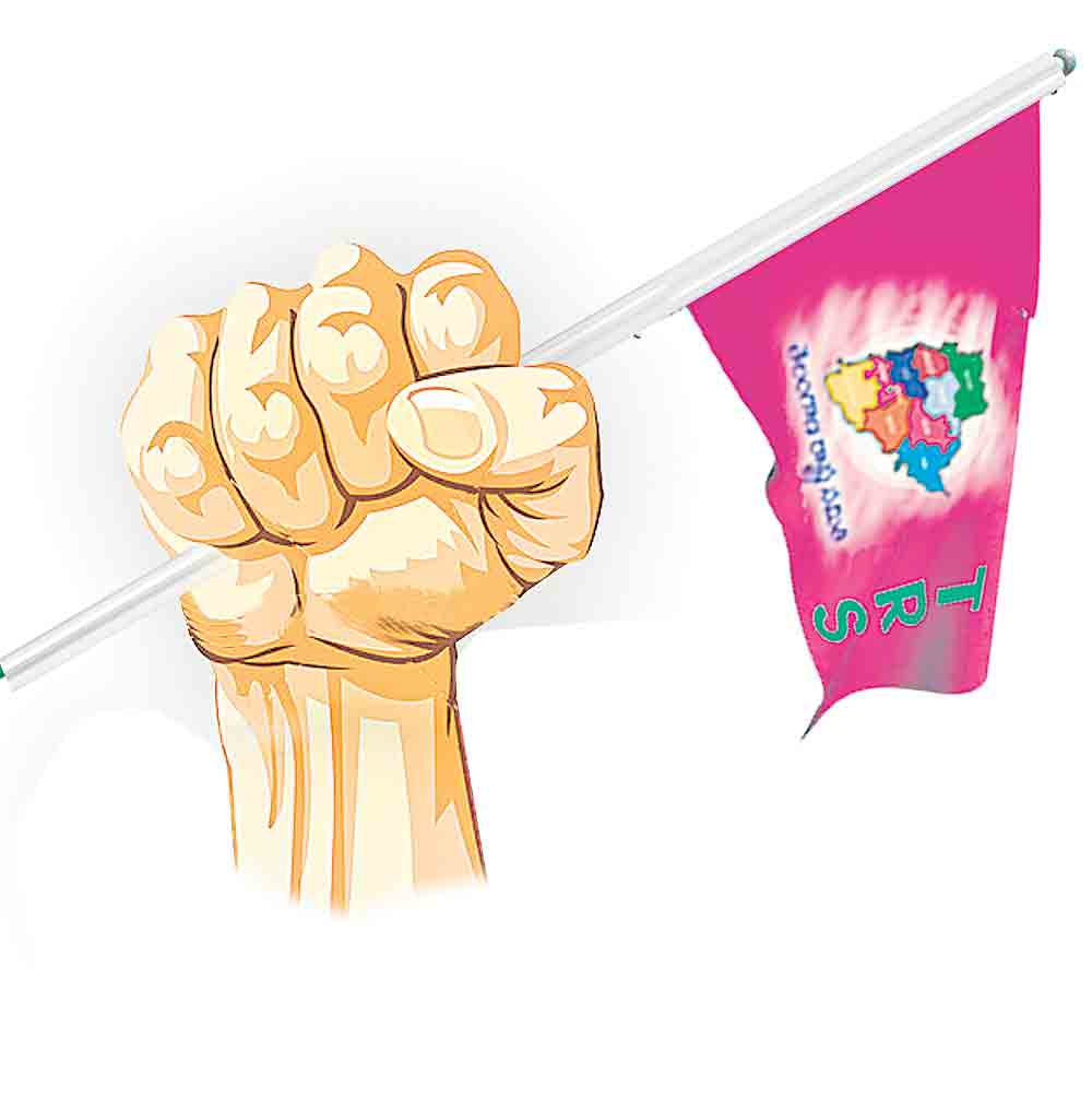 రైతన్నకు అండగా గులాబీ దండు