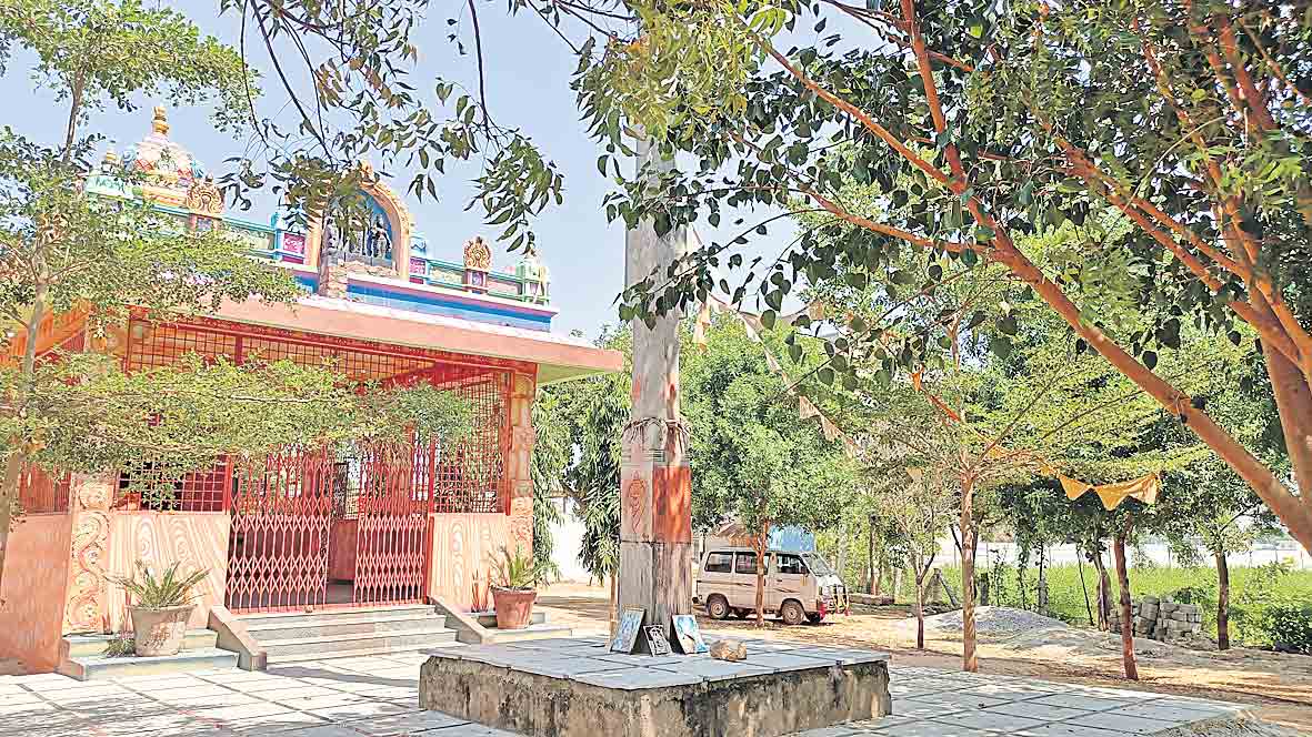 పల్లె చిన్నది.. ప్రగతి పెద్దది