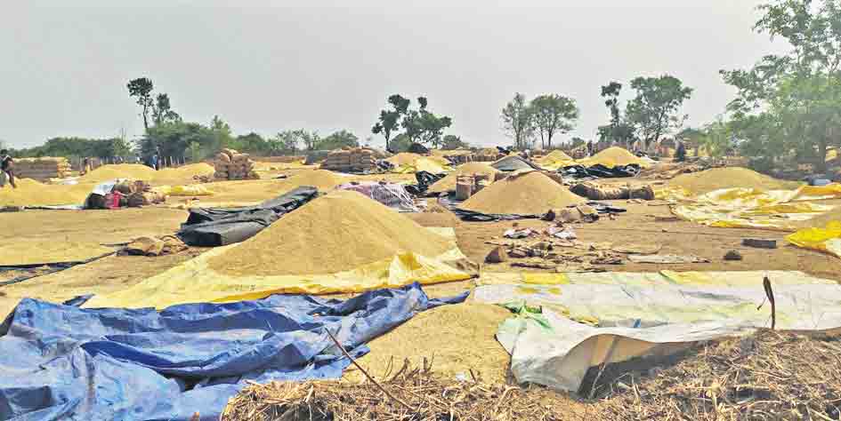 యాదాద్రికి బంగారం బహూకరణ