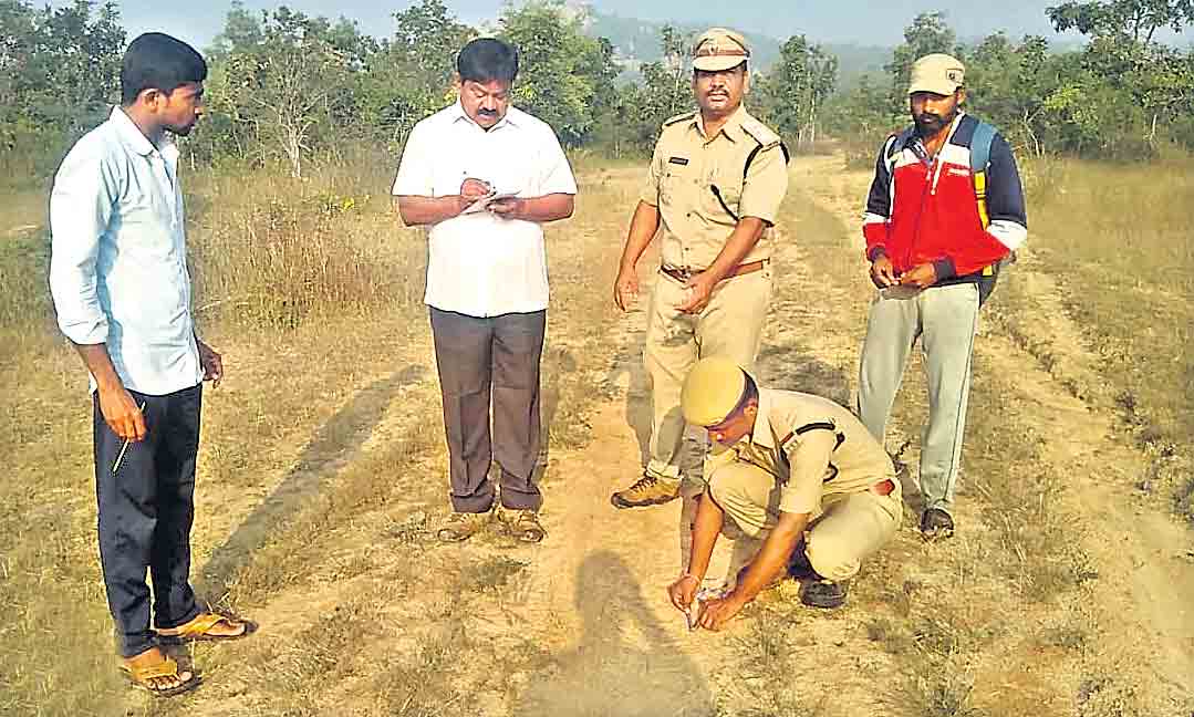 పకడ్బందీగా జంతు గణన