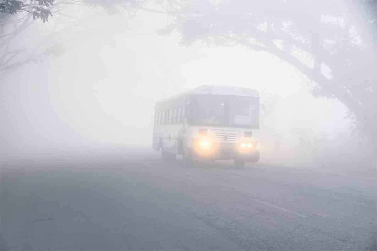 హిమ సోయగం