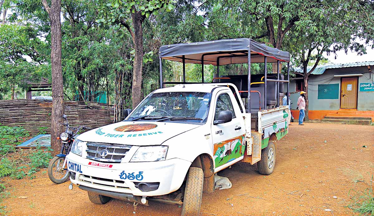 15 నుంచి నల్లమలలోకి పర్యాటకులకు అనుమతి