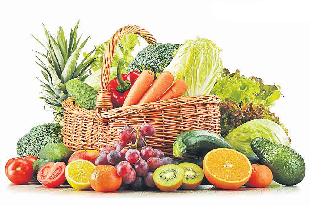 కూరగాయల సాగుకే మొగ్గు