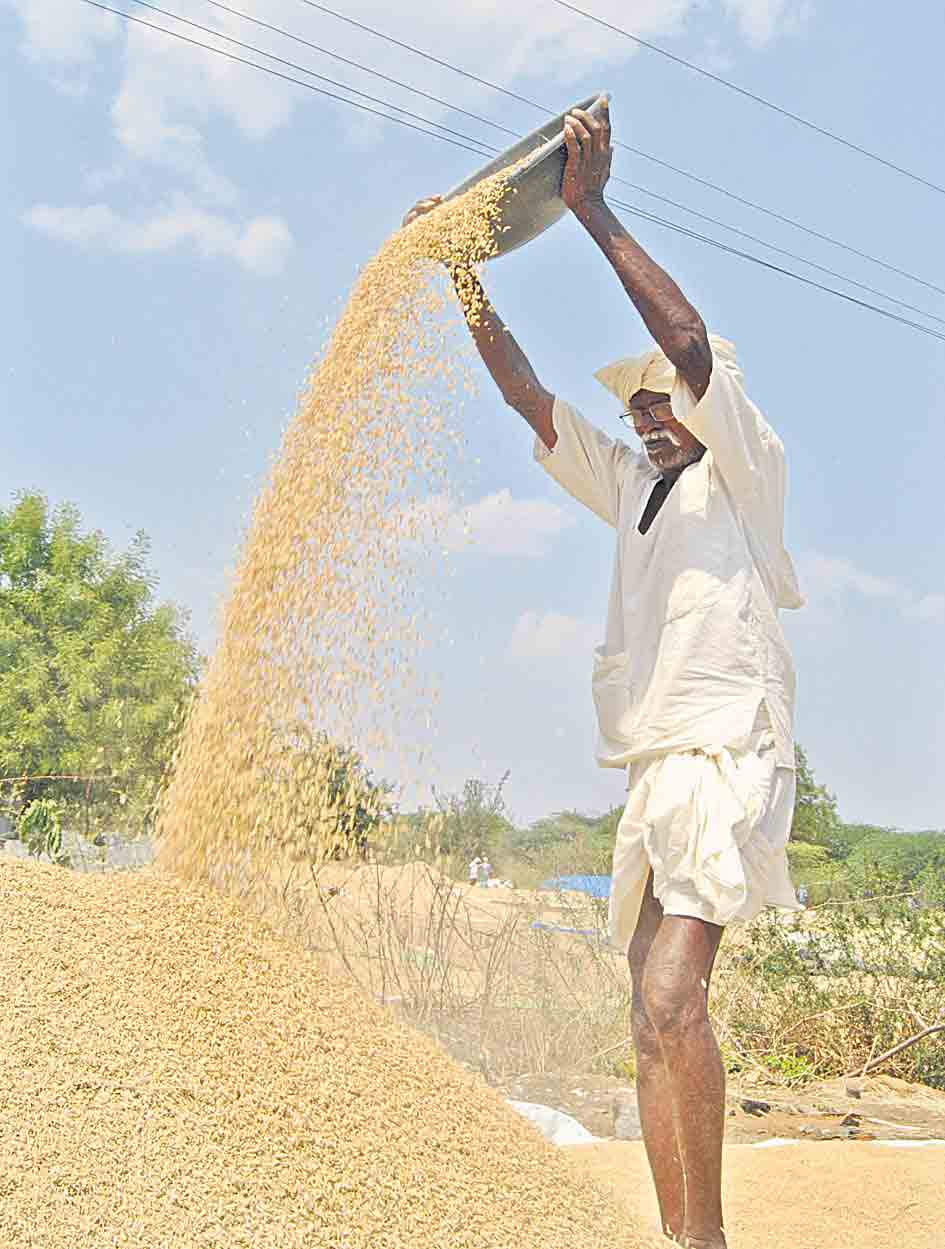 అన్నదాతకు అండగా..