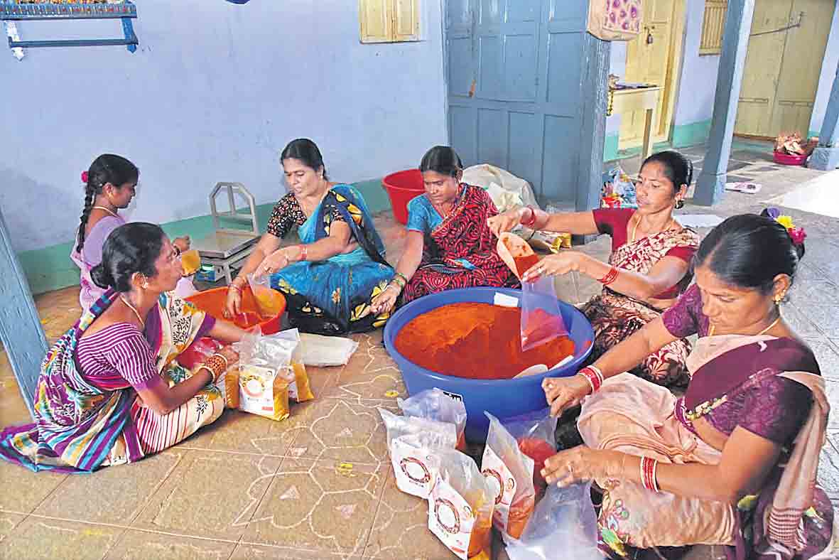 మహిళామణులు