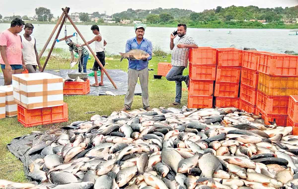 మూడంచెల విధానం!
