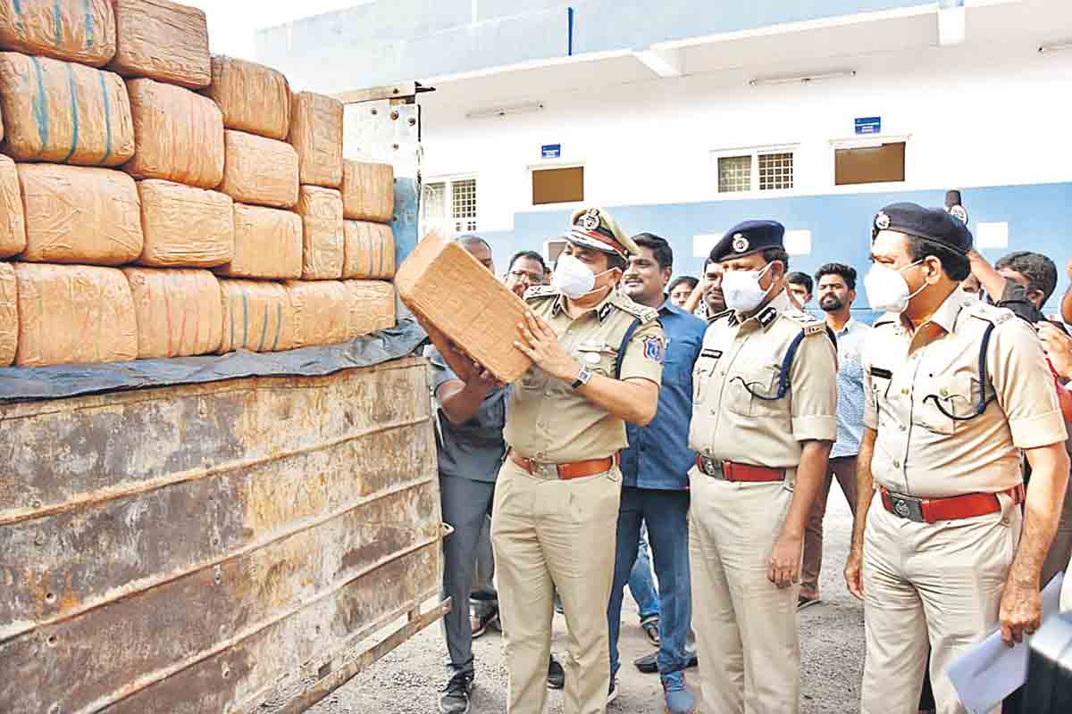 గంజాయి కుటుంబం