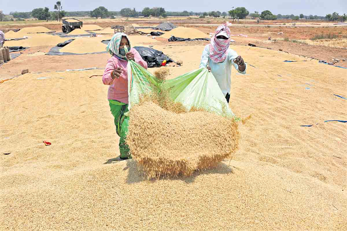 రైతును ఆగం చేస్తున్న కేంద్రం