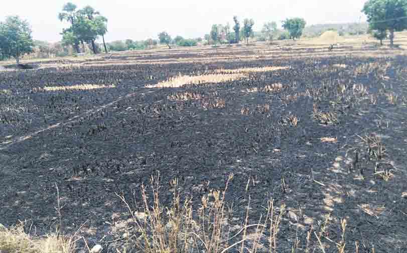 వరి కొయ్యలను కాల్చొద్దు..