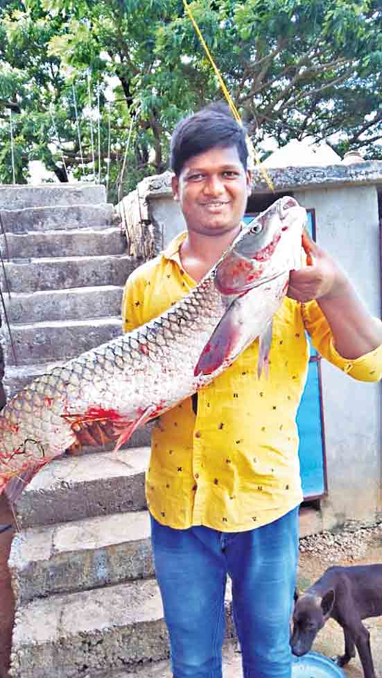 చేప @ 15 కిలోలు