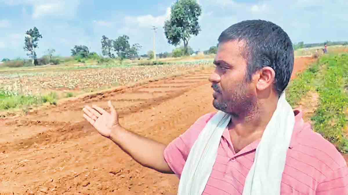 సీఎం మాటతో సిరిసిల్ల రైతు కొత్త బాట