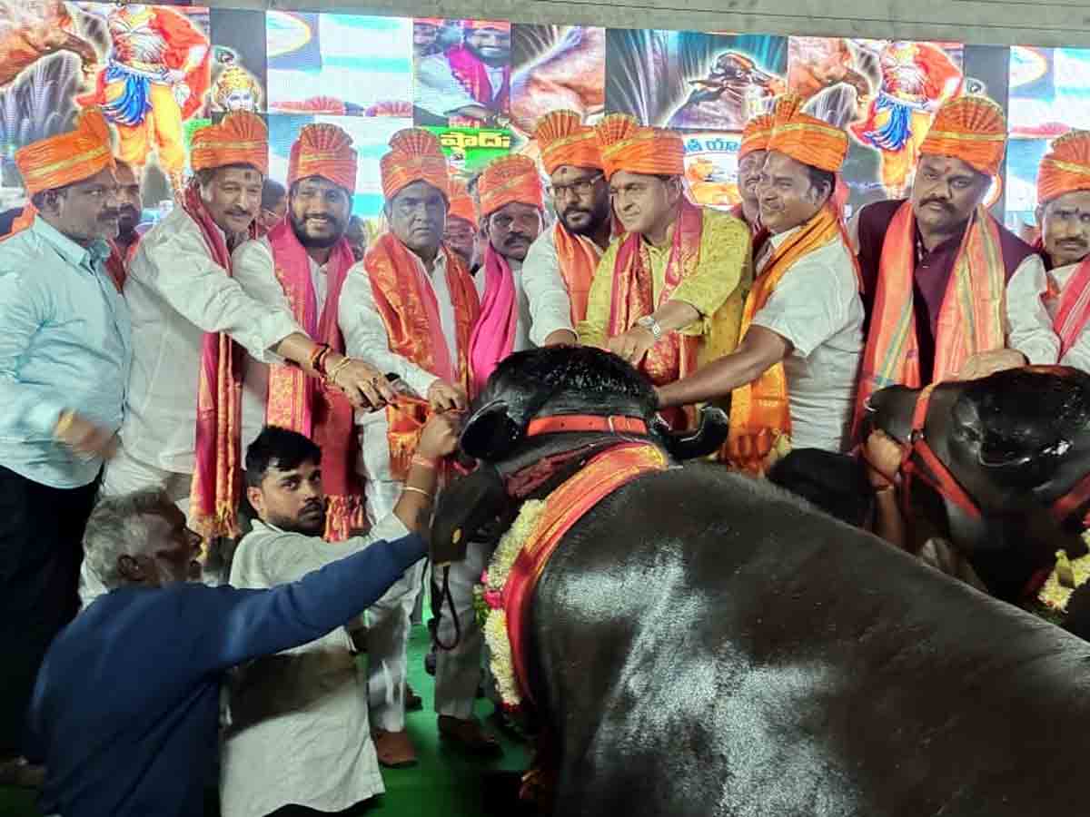 Rangreddy : షాద్‌నగర్‌లో ఘనంగా సదర్‌ ఉత్సవాలు.. ఎమ్మెల్యే అంజయ్యయాదవ్‌