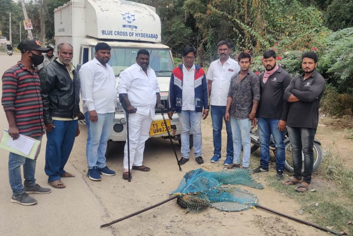 Blue cross society | కుక్కలకు శస్త్ర చికిత్స.. వాక్సిన్ చేస్తున్న బ్లూక్రాస్ సోసైటీ