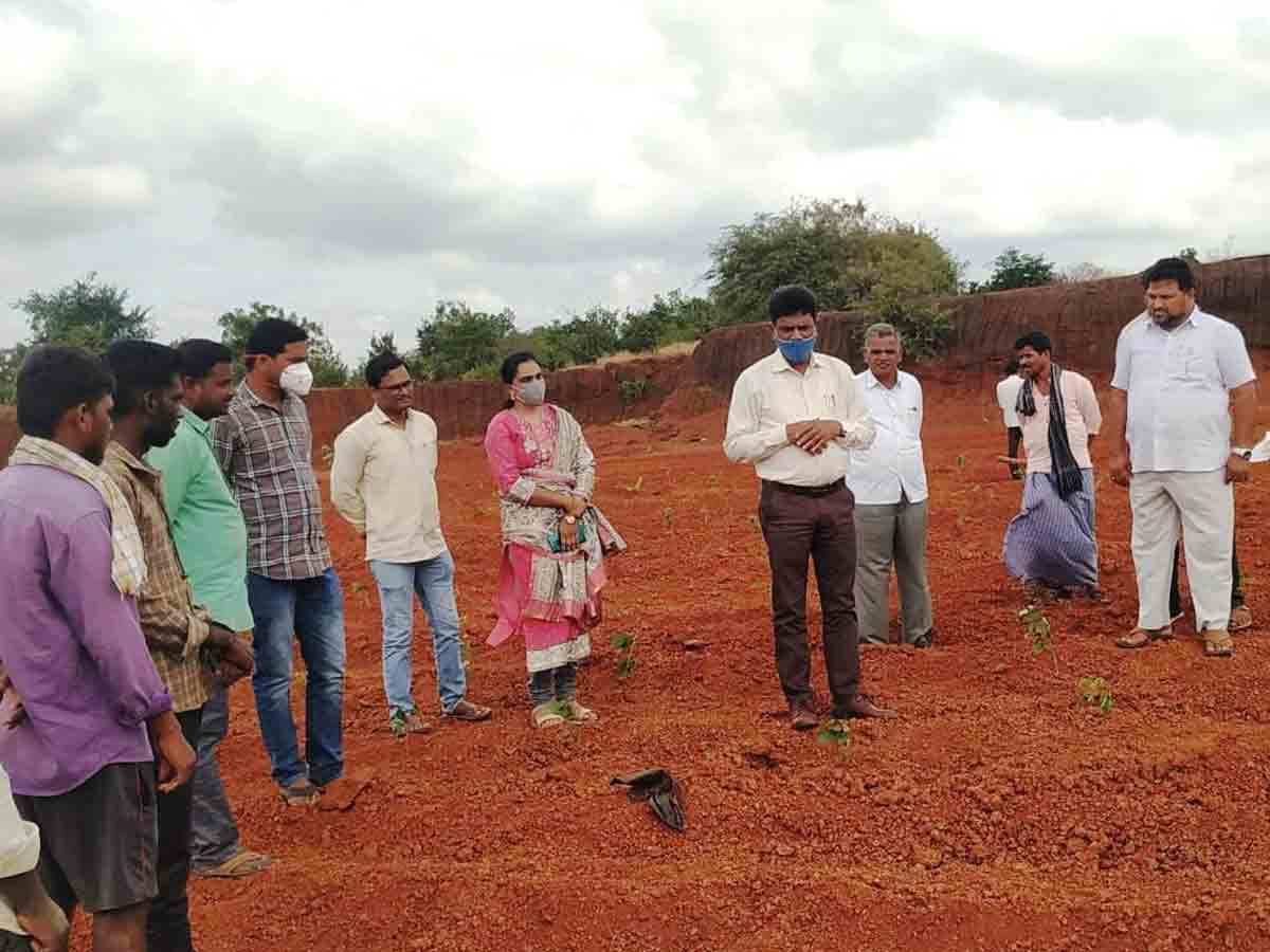 Tandur : మొక్కలు నాటే పనుల్లో వేగం పెంచాలి.. అడిషనల్‌ కలెక్టర్‌ చంద్రయ్య