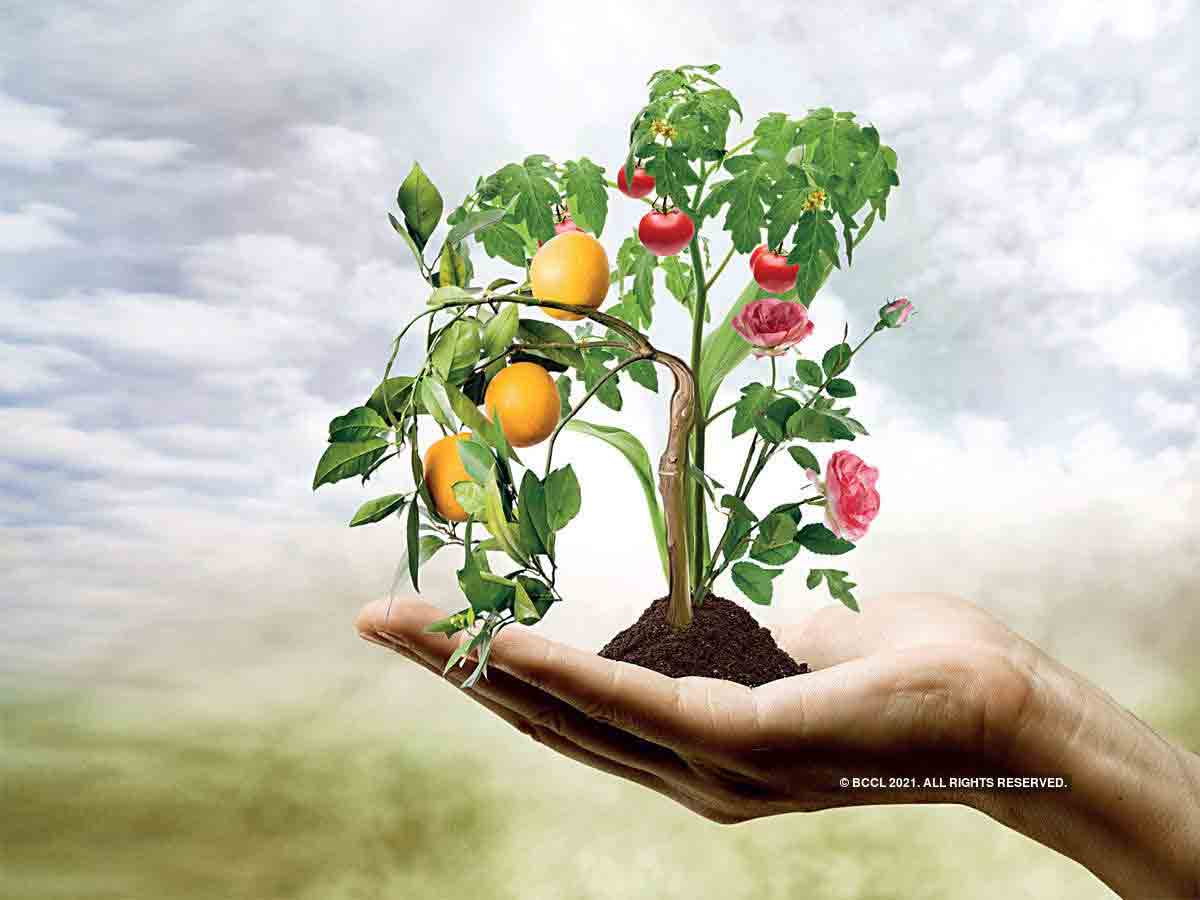 సరికొత్తగా సాగు