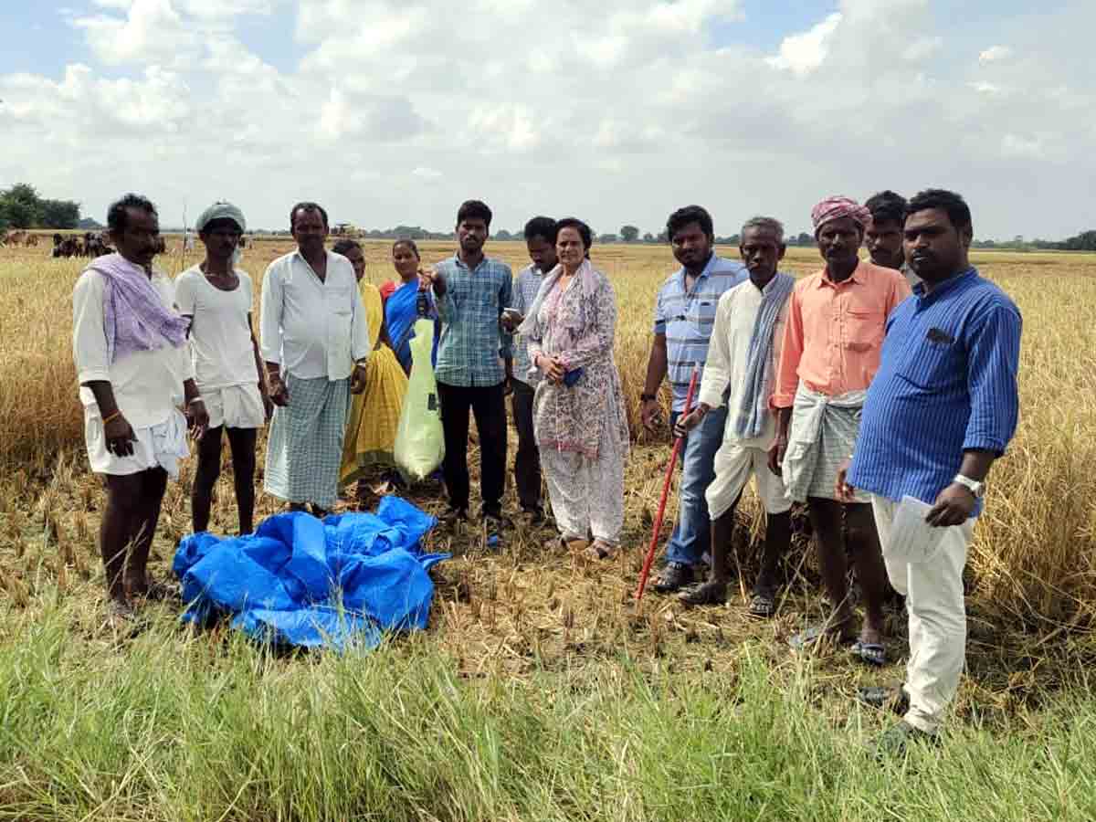 Vikarabad : వ్యవసాయాధికారుల సూచనలు పాటించాలి.. జిల్లా గణాంక అధికారిణి లక్ష్మీకుమారి