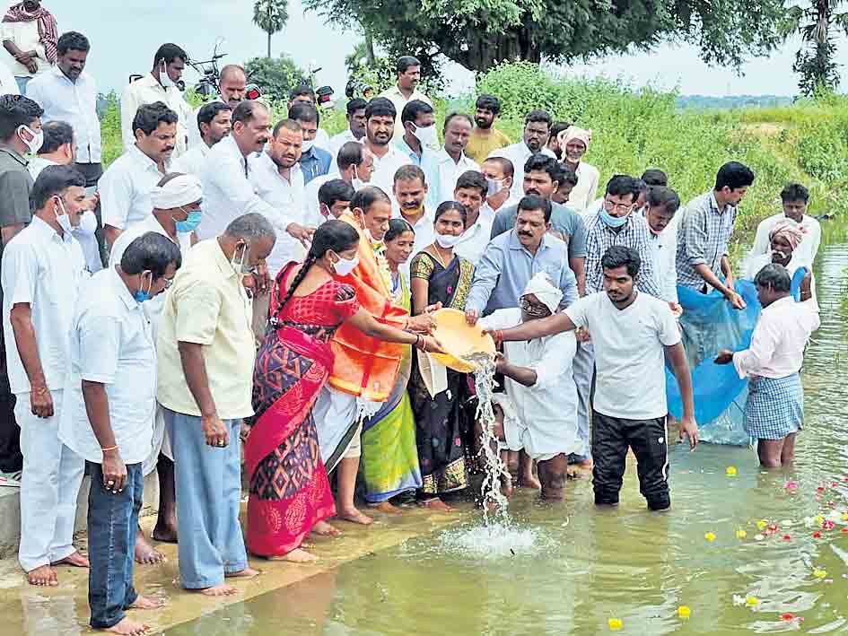 చెరువుల నిండా చేపల దండు..