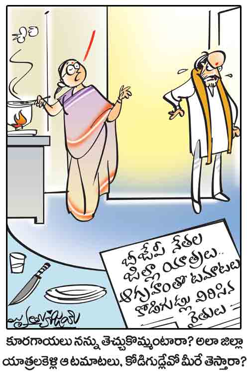 డైలీ కార్టూన్‌ 17-11-2021