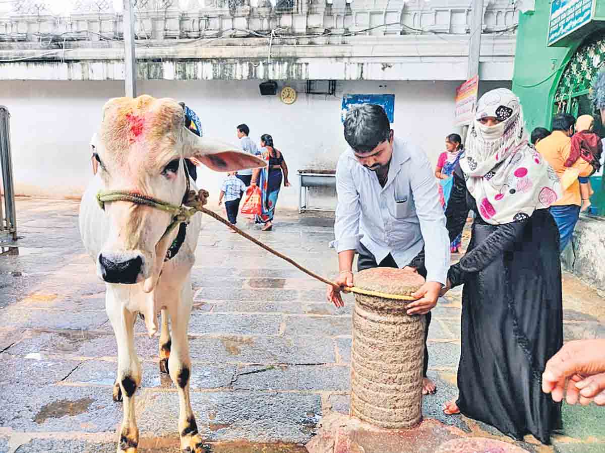 ముస్లిం దంపతుల కోడెమొక్కు