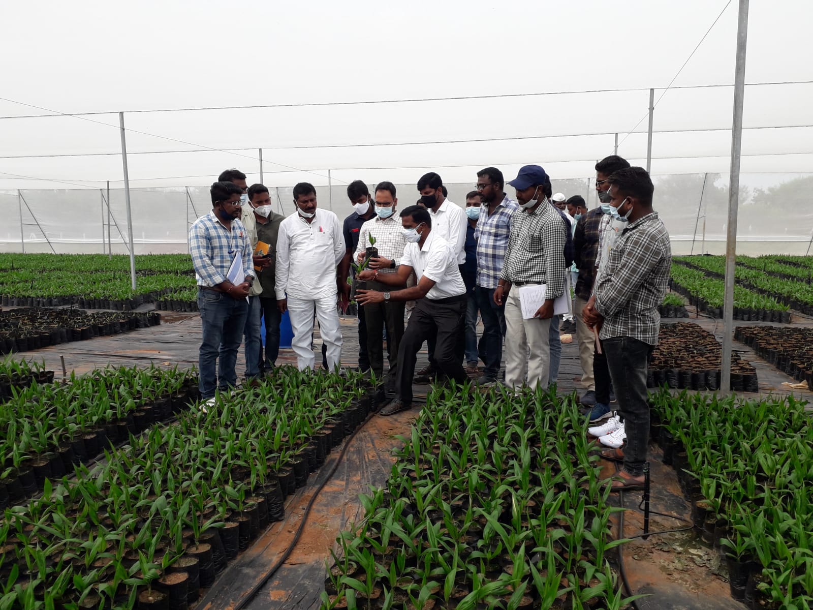 MAHABUBABAD : ఆయిల్‌ ఫామ్‌ సాగుతో లాభాలు.. కలెక్టర్‌ శశాంక