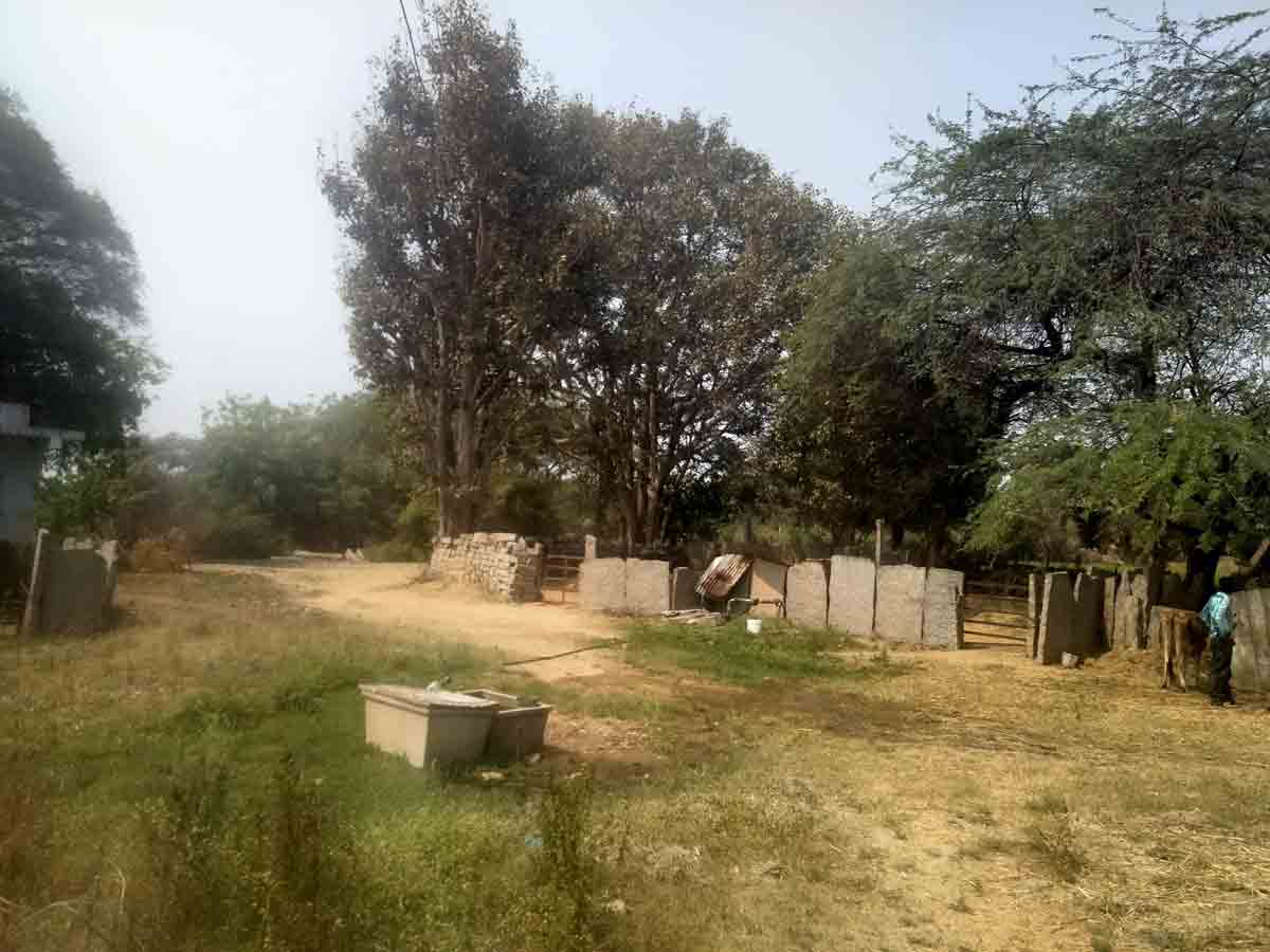 బాయికాడి ముచ్చట్లు