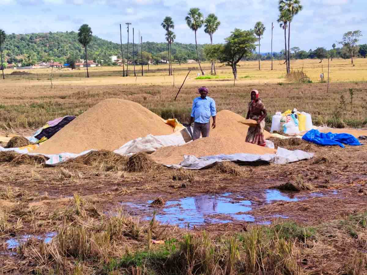 రైతు ఆశలపై ‘నీళ్లు’