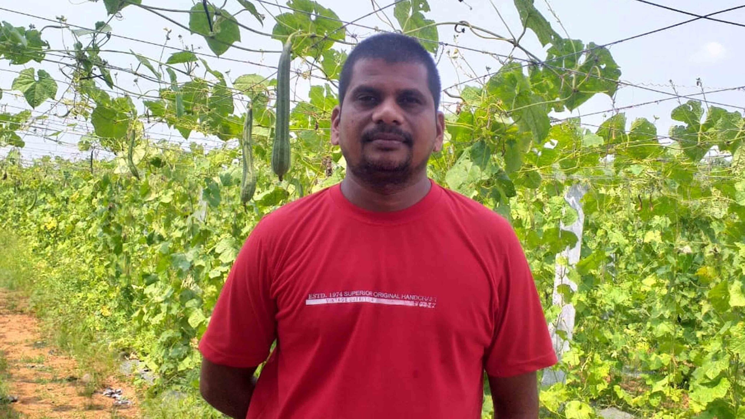 యాసంగిలో ప్రత్యామ్నాయం మేలు