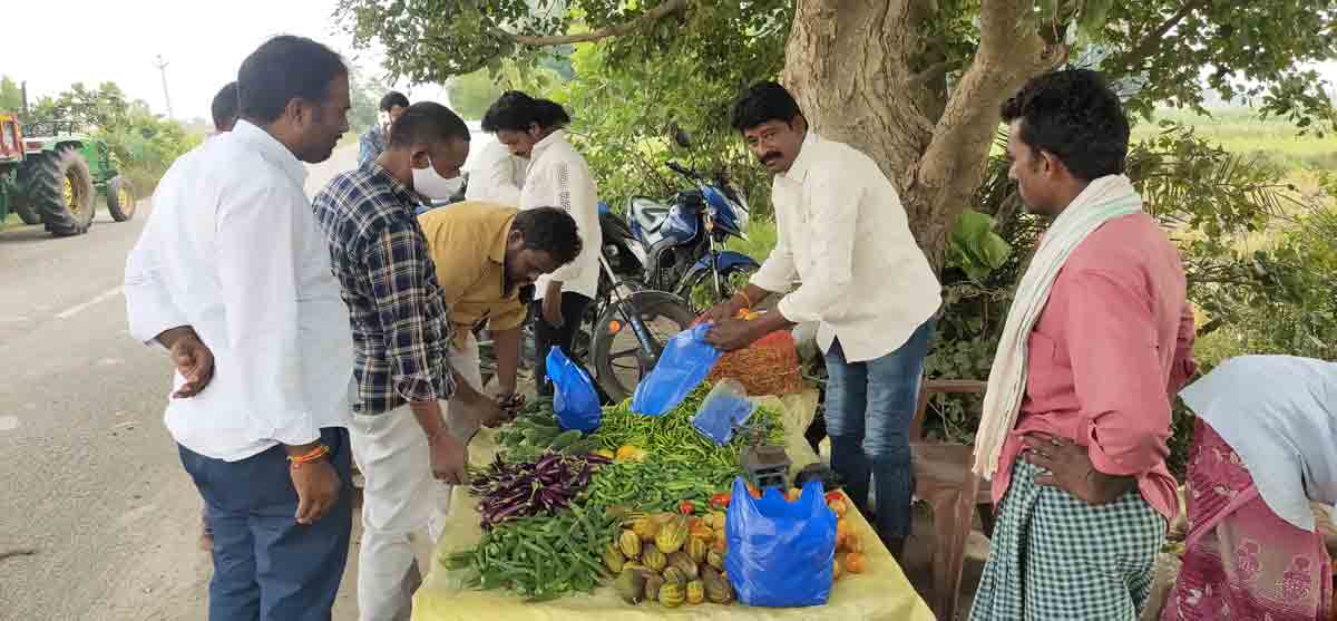 ఆయకట్టులో కూరగాయల సాగు