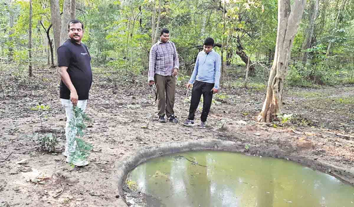 పులుల గణన ప్రారంభం