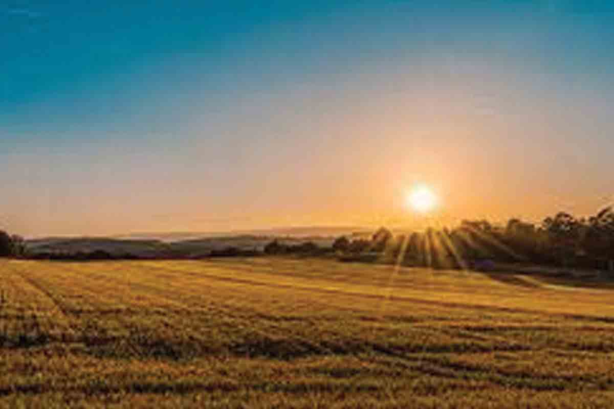 భూసమస్యలపై సిద్ధమవుతున్న నివేదికలు