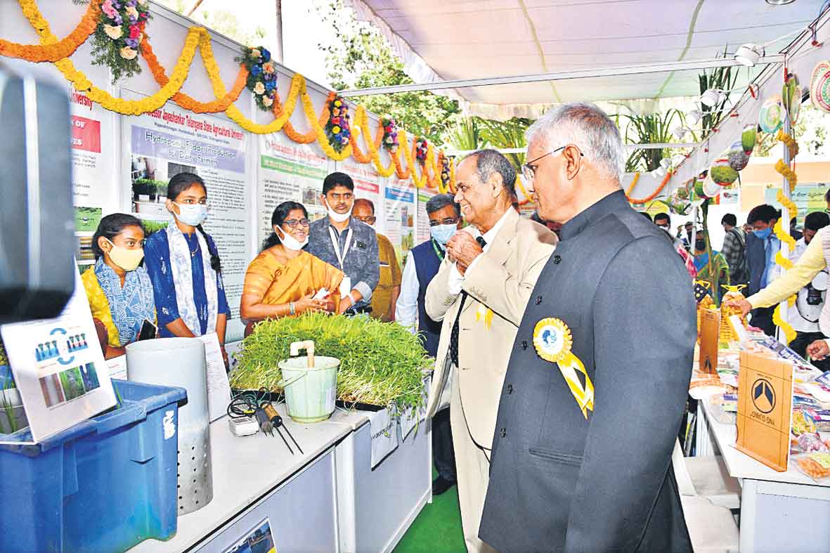 వరికి ప్రత్యామ్నాయం తేవాలి!
