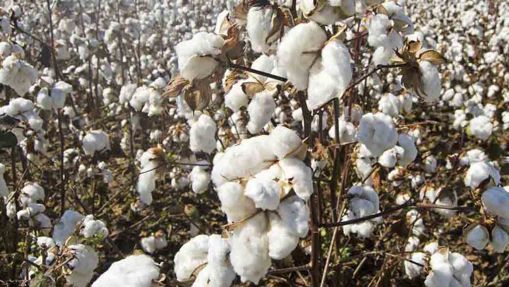 ఆరుతడికి వేళాయె..