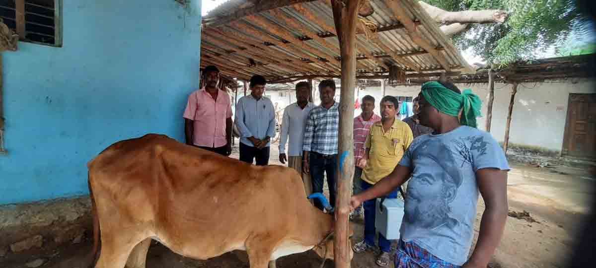 పశు సంపదపై దృష్టి సారించాలి