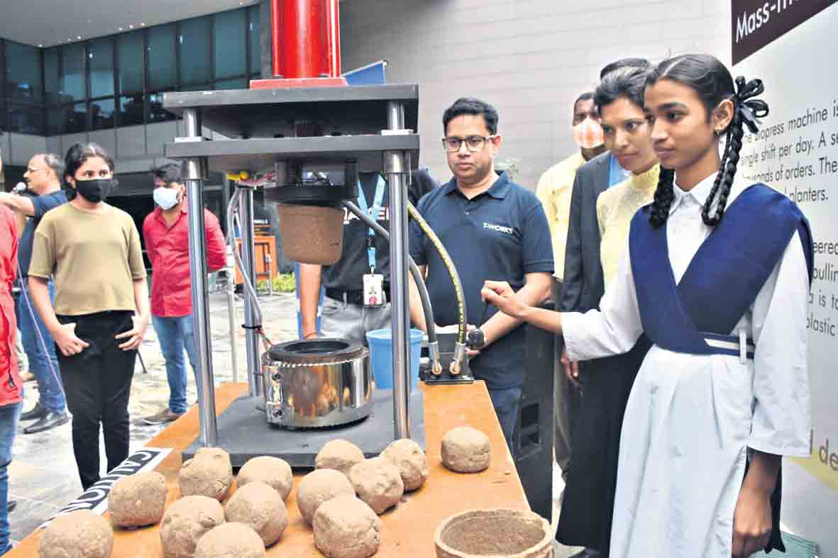 కవర్లతో హాని కుండీలతో మేలని