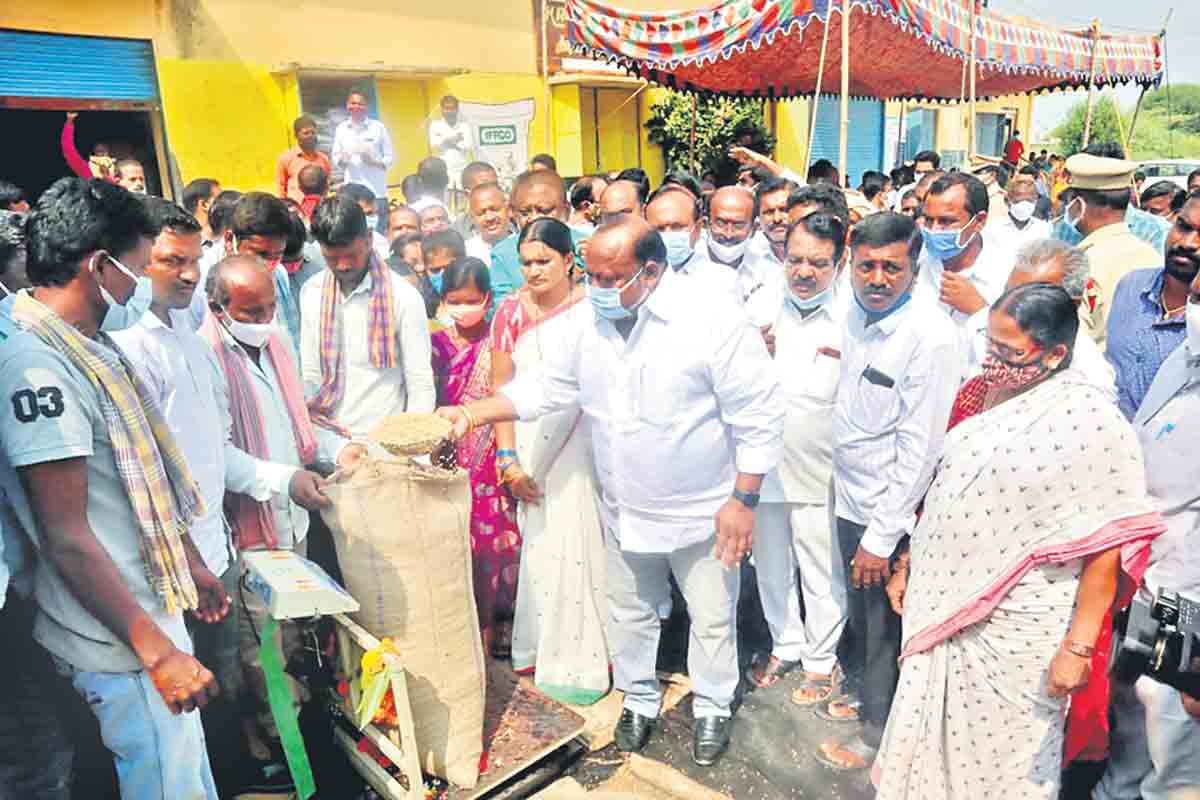 యాసంగి పంట