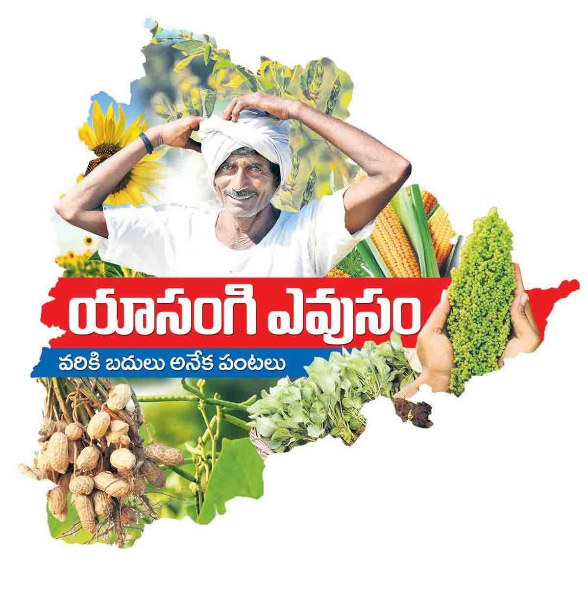 ఆరుతడితో ఆమ్దాని