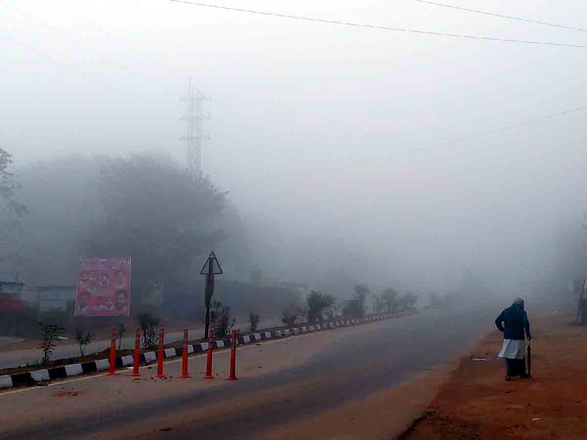 Rangareddy : కమ్మెసిన పొగమంచు…