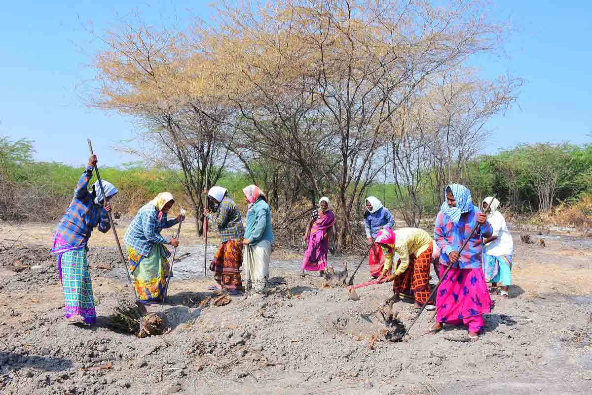 ఇక డైలీ ఉపాధి