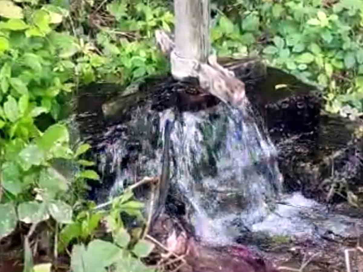 Rangareddy : పాతాల గంగా పైపైకి..