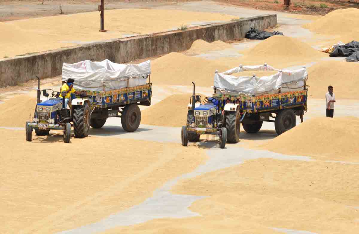 తాలుతీసేద్దాం తరుగు నివారిద్దాం