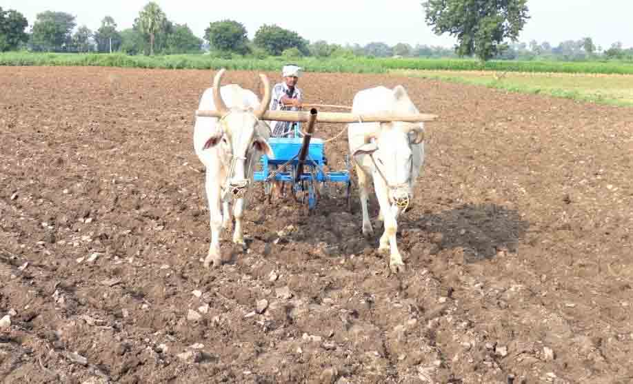 పంట మార్పిడి ఎందుకంటే!