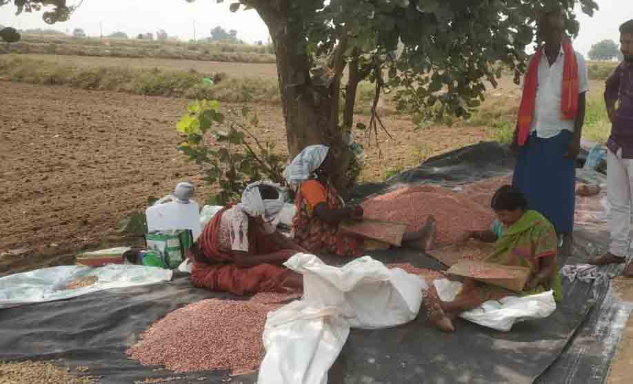 ఆయకట్టు ఆరుతడి వైపు