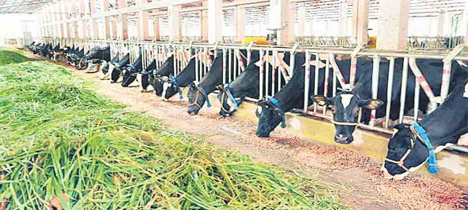 రైతుల విజయం.. డెయిరీ