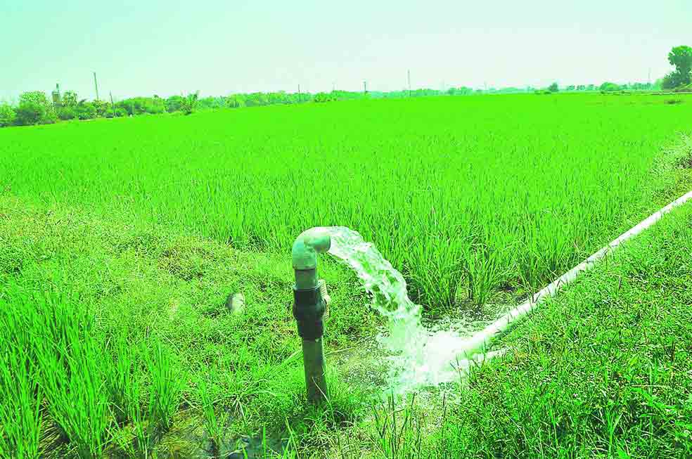 వరియేతర పంటలతోనే నిటి ఆదా