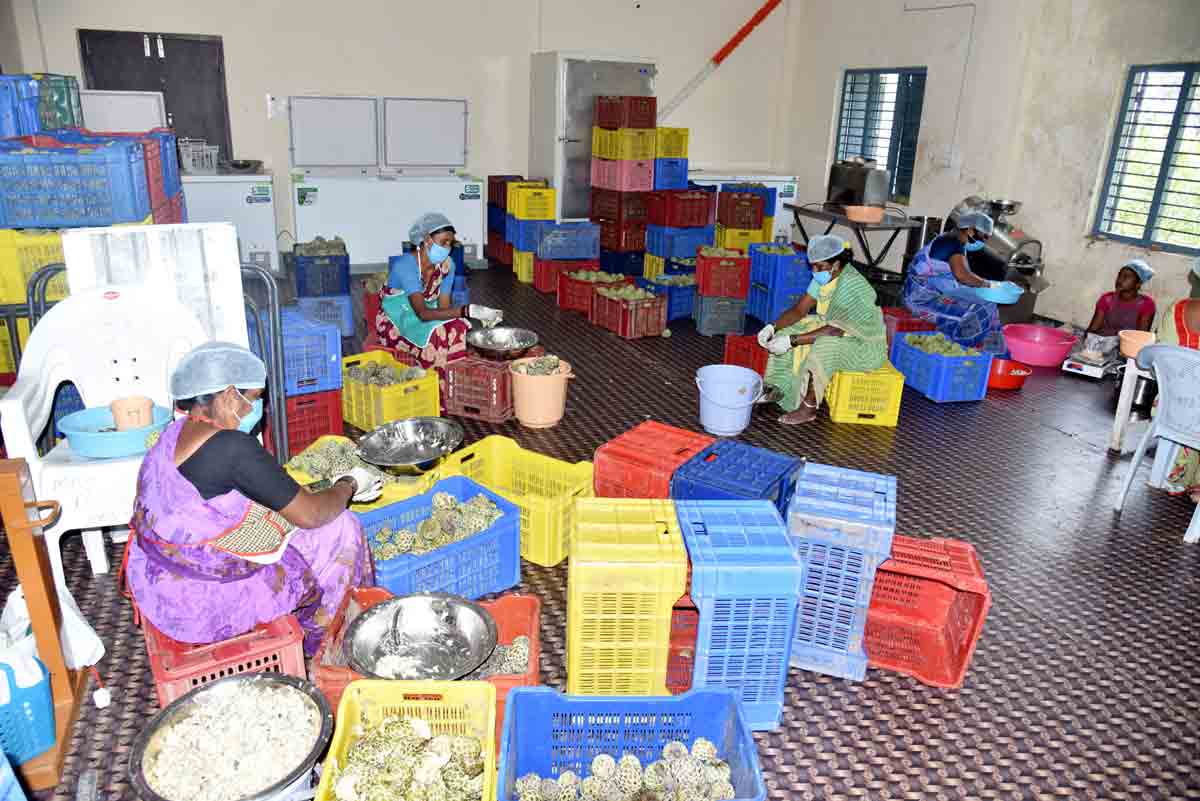 మధురం సీతాఫలం