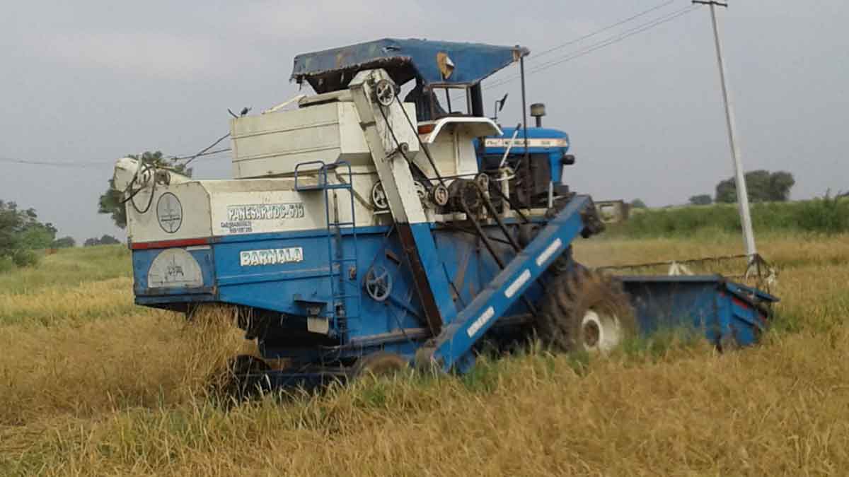 వరి కోతలు షూరూ